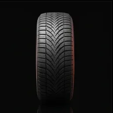 Trakmor Orbis 4S 205/55 R16 94V XL