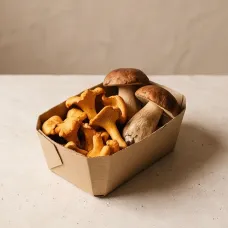 Лисички й білі, лісові